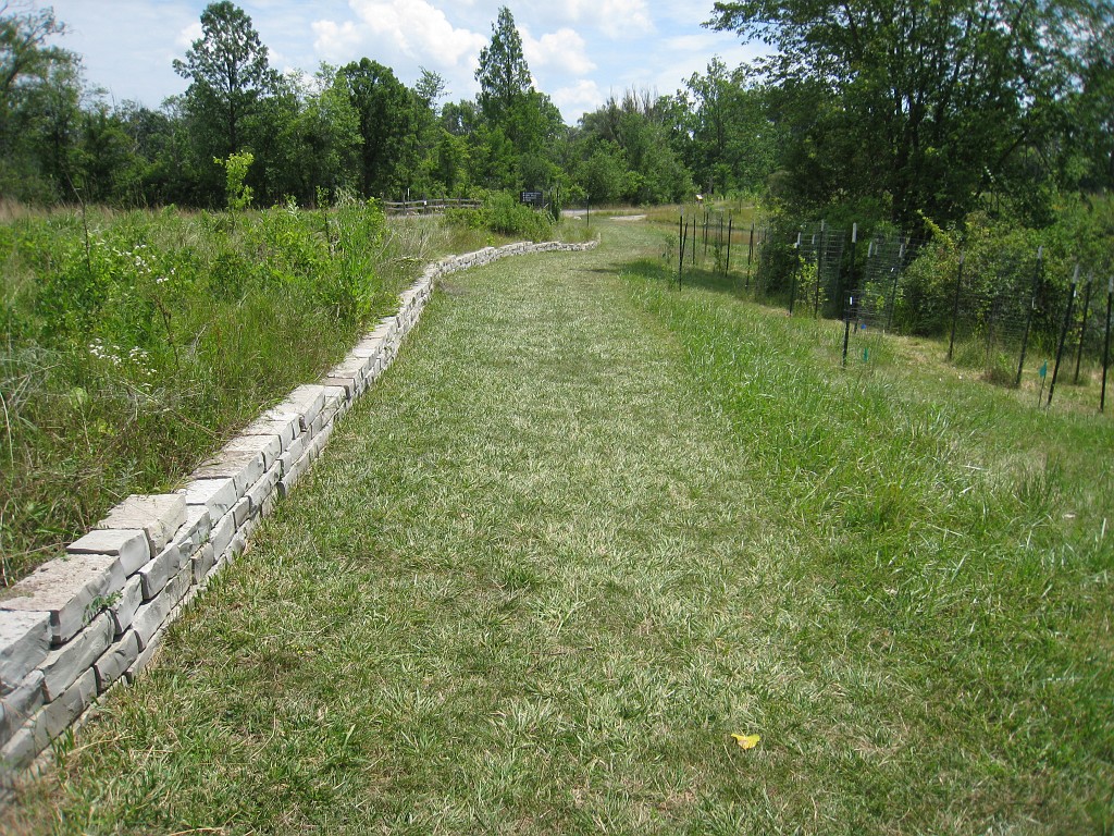 Matthaei Botanical Gardens 2010 0060.jpg - Things are constantly being changed, upgraded or repaired. A series of new trails and retaining walls have been put in the last year.